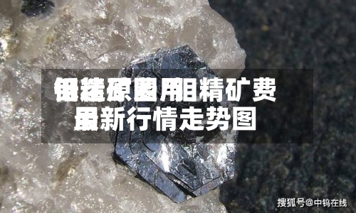 钼精矿费用
低迷原因/钼精矿费用
最新行情走势图
