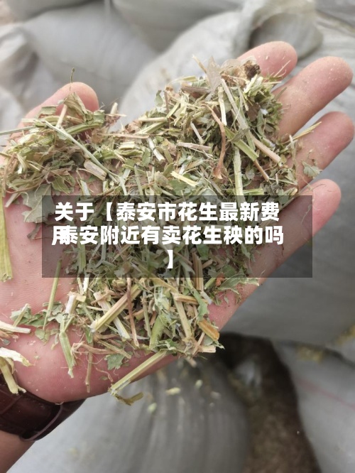 关于【泰安市花生最新费用
,泰安附近有卖花生秧的吗】-第2张图片