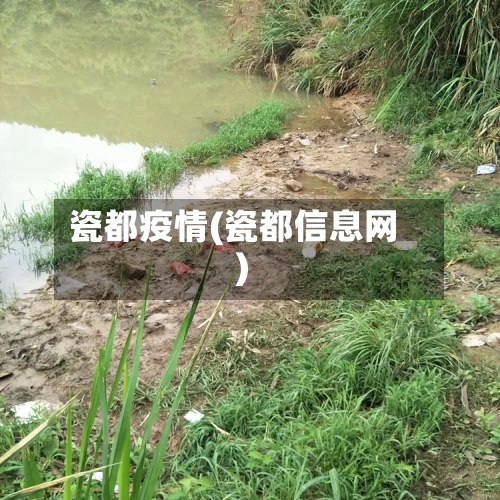 瓷都疫情(瓷都信息网)
