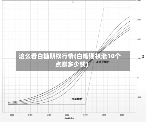 这么看白糖期权行情(白糖期权涨10个点赚多少钱)-第2张图片