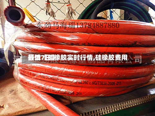 最近【硅橡胶实时行情,硅橡胶费用
行情7日】