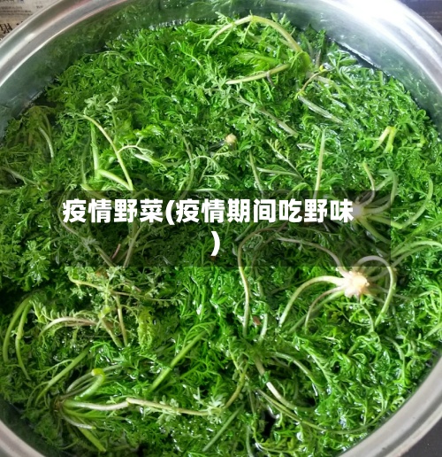 疫情野菜(疫情期间吃野味)-第2张图片