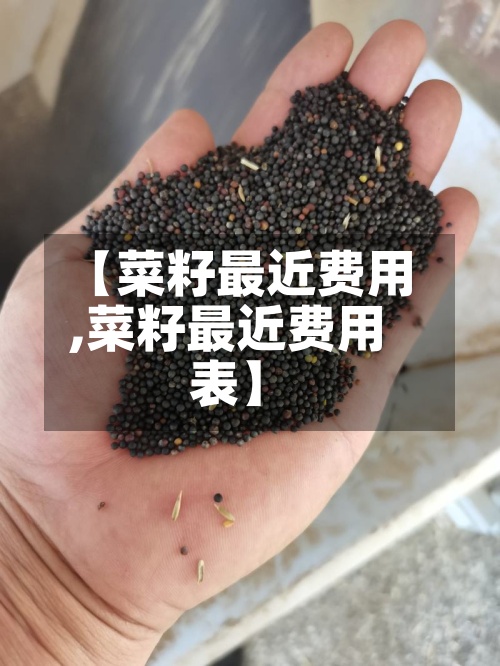 【菜籽最近费用,菜籽最近费用表】-第2张图片