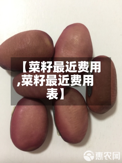 【菜籽最近费用
,菜籽最近费用
表】