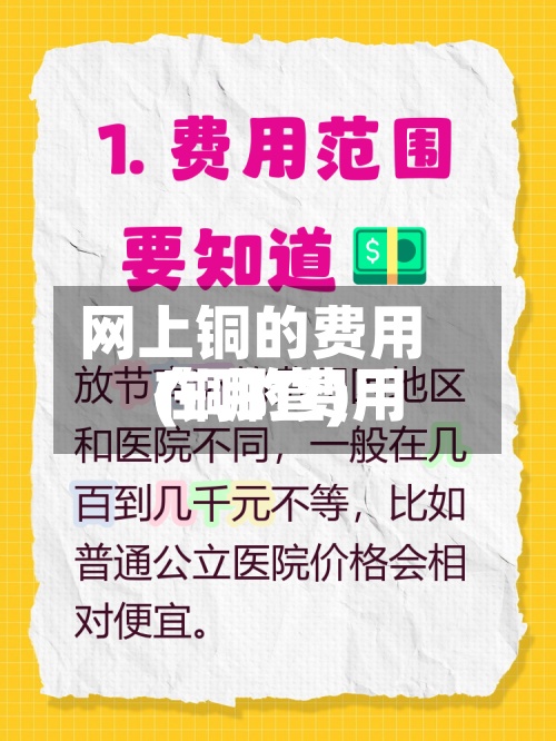 网上铜的费用
(铜的费用
在哪查)