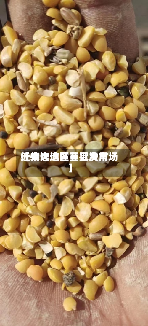 近来【大连地区黄豆费用行情大连黄豆批发市场】