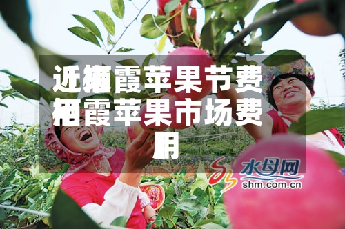 近来【栖霞苹果节费用栖霞苹果市场费用】