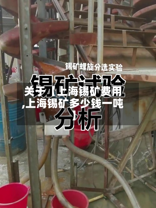 关于【上海锡矿费用
,上海锡矿多少钱一吨】-第3张图片