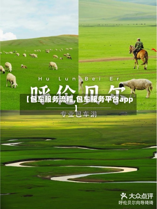 【包车服务流程,包车服务平台app】