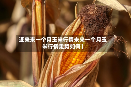 近来
【未来一个月玉米行情未来一个月玉米行情走势如何】-第2张图片