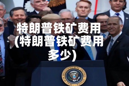 特朗普铁矿费用(特朗普铁矿费用多少)