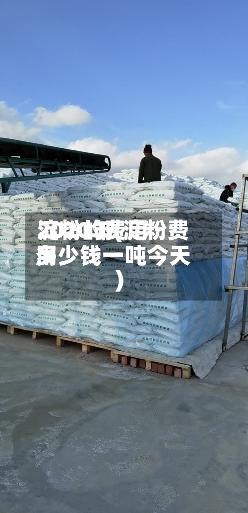 淀粉的费用2020年(淀粉费用多少钱一吨今天)