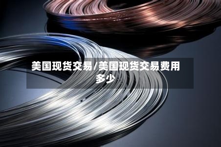 美国现货交易/美国现货交易费用多少