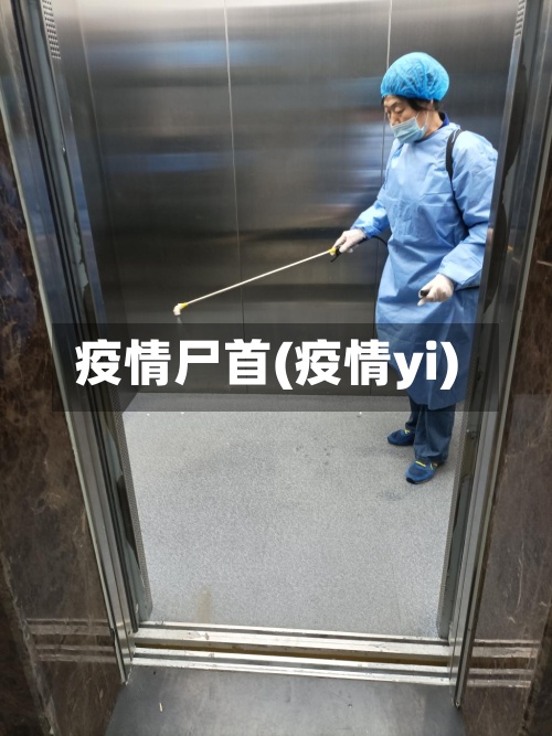 疫情尸首(疫情yi)-第2张图片