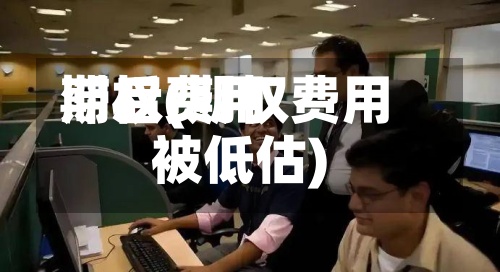 期权费用滞后(期权费用被低估)