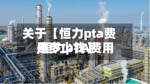 关于【恒力pta费用,恒力pTA费用是多少钱】