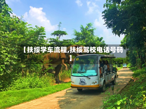 【扶绥学车流程,扶绥驾校电话号码】-第3张图片