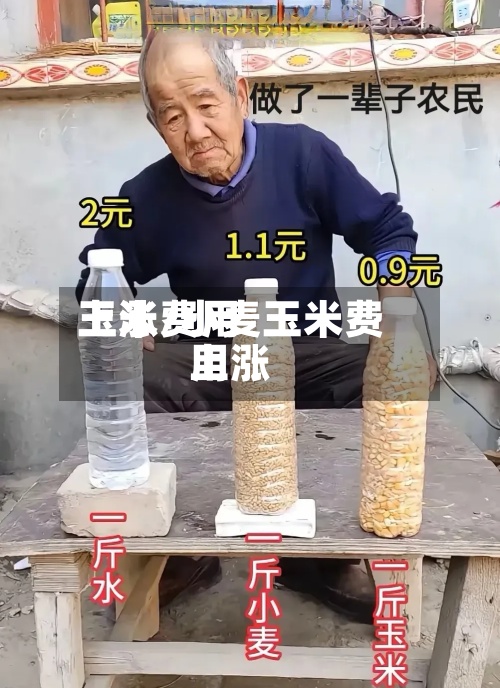 玉米费用上涨/小麦玉米费用上涨-第2张图片