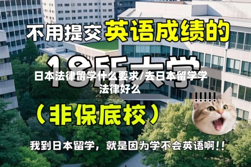 日本法律留学什么要求/去日本留学学法律好么-第2张图片