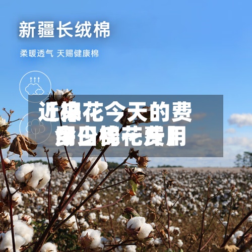 近来
【棉花今天的费用
今日棉花费用
多少钱一斤】-第3张图片