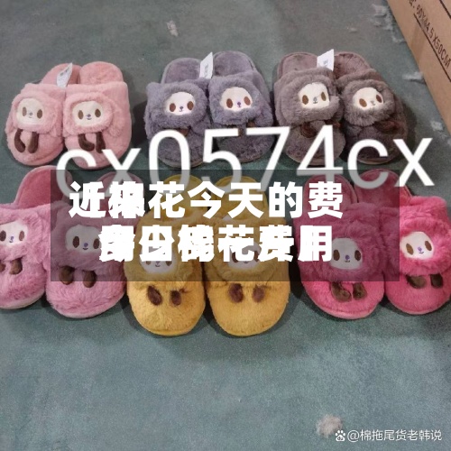 近来【棉花今天的费用今日棉花费用多少钱一斤】