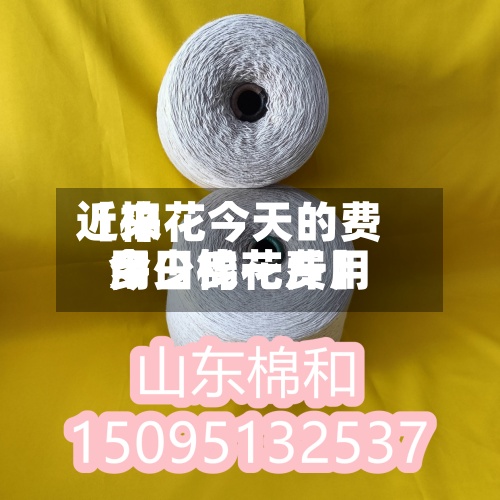近来
【棉花今天的费用
今日棉花费用
多少钱一斤】-第2张图片