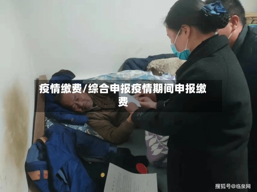 疫情缴费/综合申报疫情期间申报缴费-第2张图片