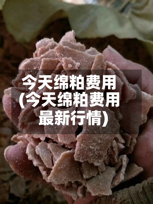 今天绵粕费用
(今天绵粕费用
最新行情)-第2张图片