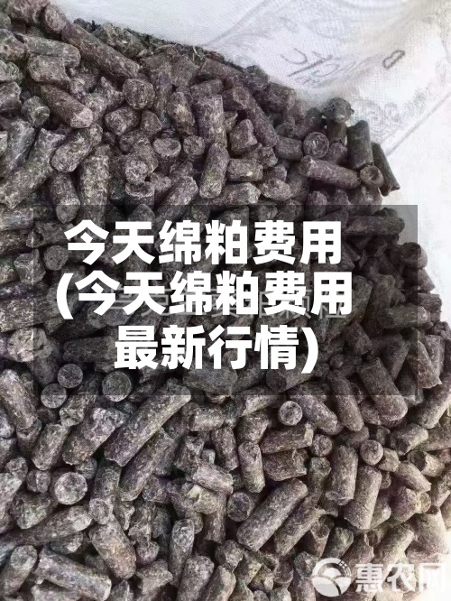 今天绵粕费用(今天绵粕费用最新行情)
