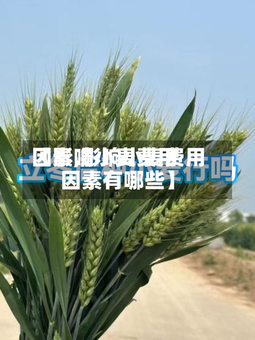 【影响小麦费用因素,影响小麦费用因素有哪些】