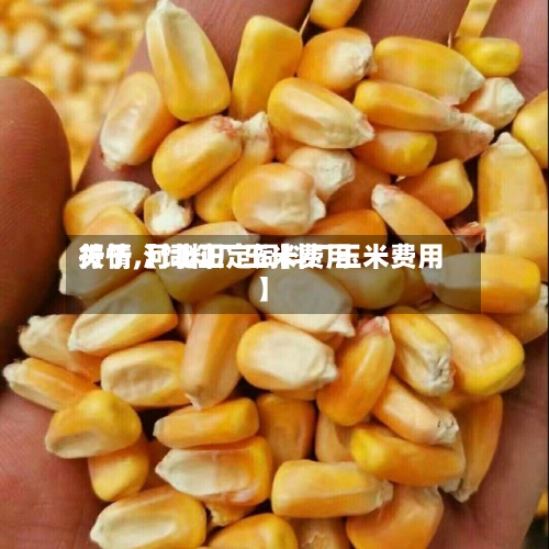 关于【饲料厂玉米费用
行情,河北正定饲料厂玉米费用
】-第3张图片