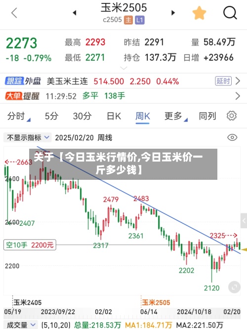 关于【今日玉米行情价,今日玉米价一斤多少钱】