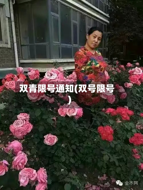 双青限号通知(双号限号)