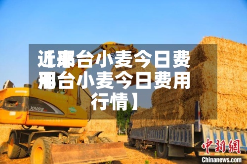近来【邢台小麦今日费用邢台小麦今日费用行情】