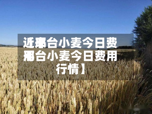 近来
【邢台小麦今日费用
邢台小麦今日费用
行情】-第3张图片