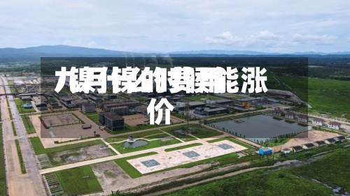九月镍的费用/镍什么时候能涨价