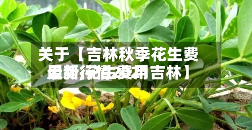关于【吉林秋季花生费用
走势,花生费用
最新行情2021吉林】-第3张图片