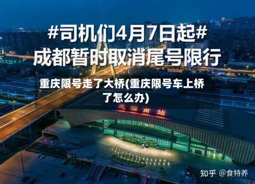 重庆限号走了大桥(重庆限号车上桥了怎么办)-第3张图片