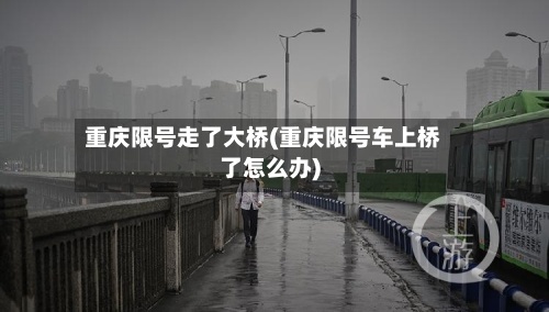重庆限号走了大桥(重庆限号车上桥了怎么办)-第2张图片