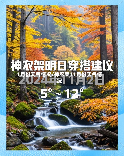 1月份天气情况/神农架11月份天气情况