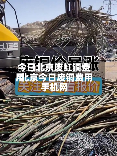 今日北京废红铜费用
/北京今日废铜费用
手机网-第2张图片