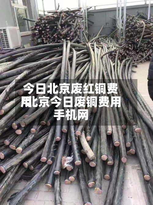 今日北京废红铜费用
/北京今日废铜费用
手机网-第3张图片