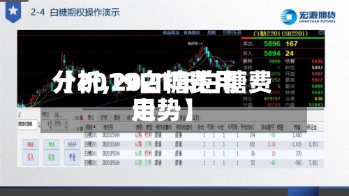 【2019白糖费用分析,2021年白糖费用走势】