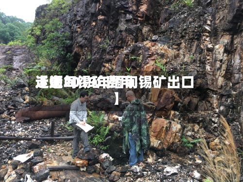 近来【缅甸锡矿费用走逝2019年缅甸锡矿出口】-第3张图片