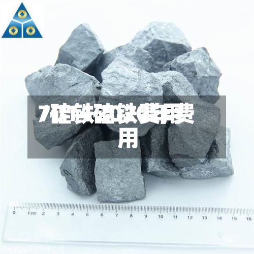 7014硅铁费用
/硅铁2020年费用
-第2张图片