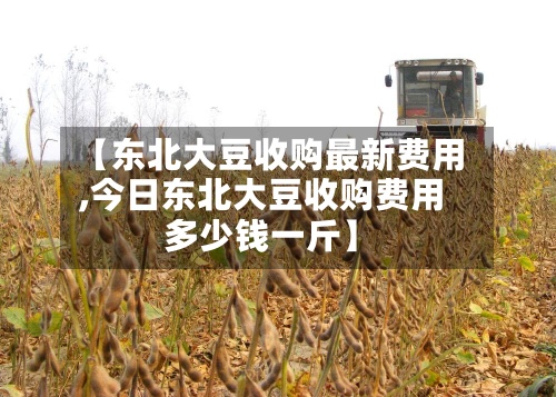 【东北大豆收购最新费用
,今日东北大豆收购费用
多少钱一斤】-第2张图片
