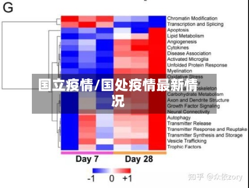 国立疫情/国处疫情最新情况