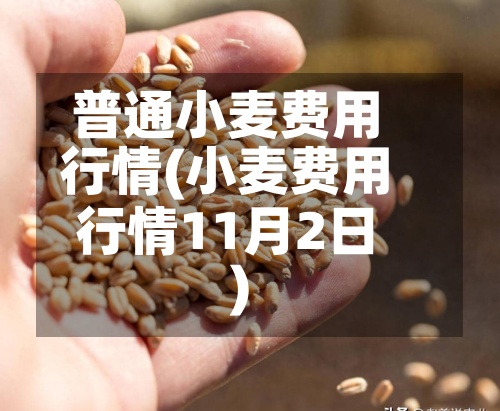 普通小麦费用行情(小麦费用行情11月2日)