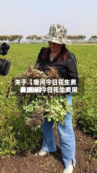 关于【唐河今日花生费用表,唐河今日花生费用表查询】-第2张图片