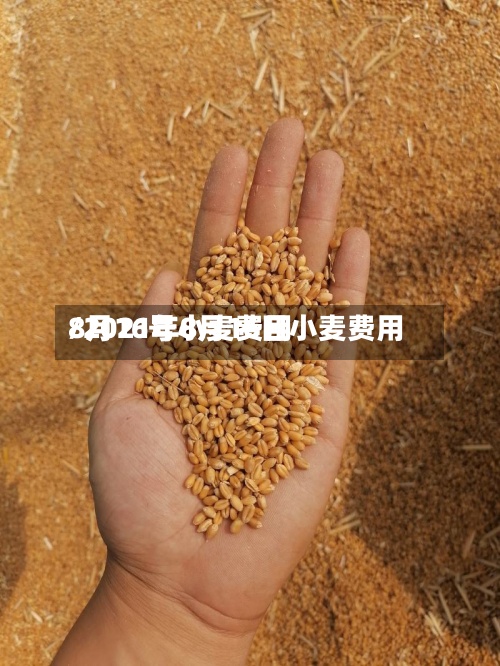 8月16号小麦费用
/2021年8月16日小麦费用
-第2张图片